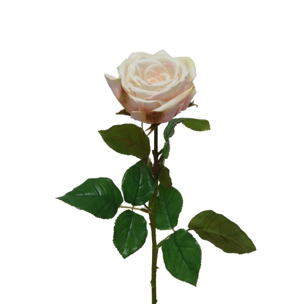 Rose am Stiel - Kunstblume - Real Touch Oberfläche - H: 68cm - creme