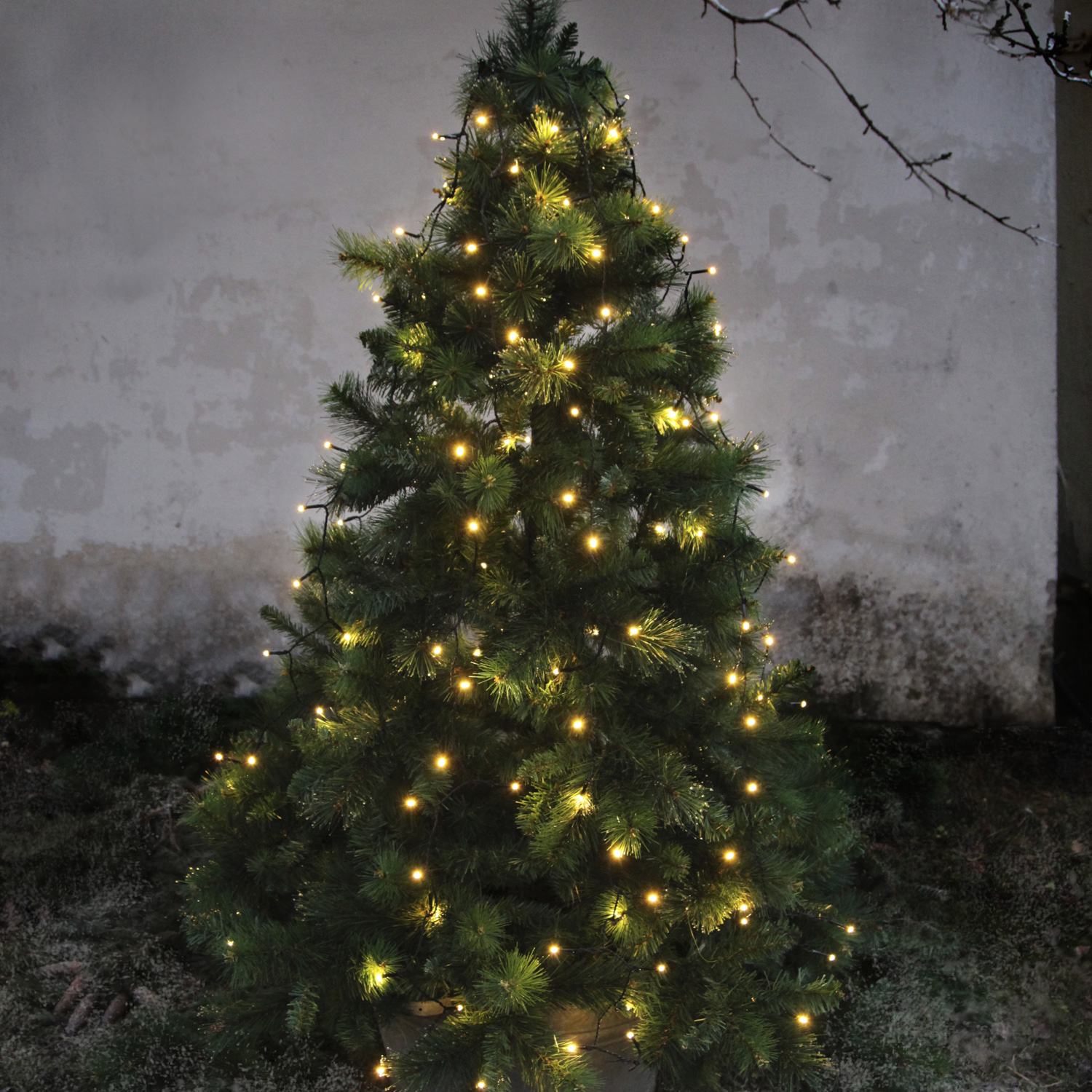 LED Leuchtbaum/Trauerweide - 144 warmweißen LED - H: 150cm - Trafo -  Outdoor - braun