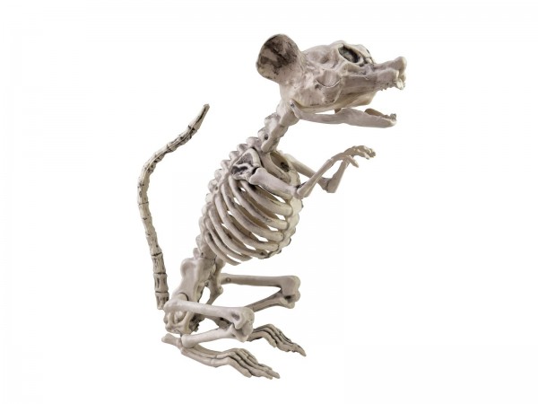 Rattenskelett sitzend, Dekofigur für Halloween 32x10x16cm - bewegliche Teile - Grusel Dekoration
