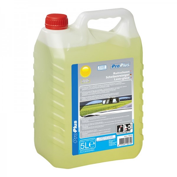 Scheibenreiniger Sommer Fertigmix 5 Liter