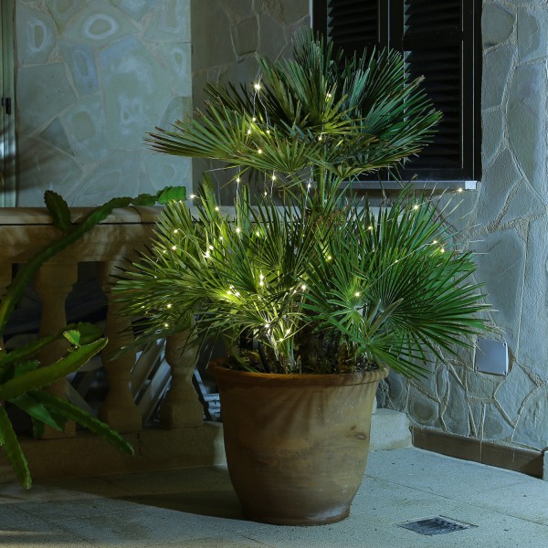 LED Solar Draht Lichtbündel - Pflanzenbeleuchtung - 60 warmweiße LED - L: 80cm - für Außen - silber